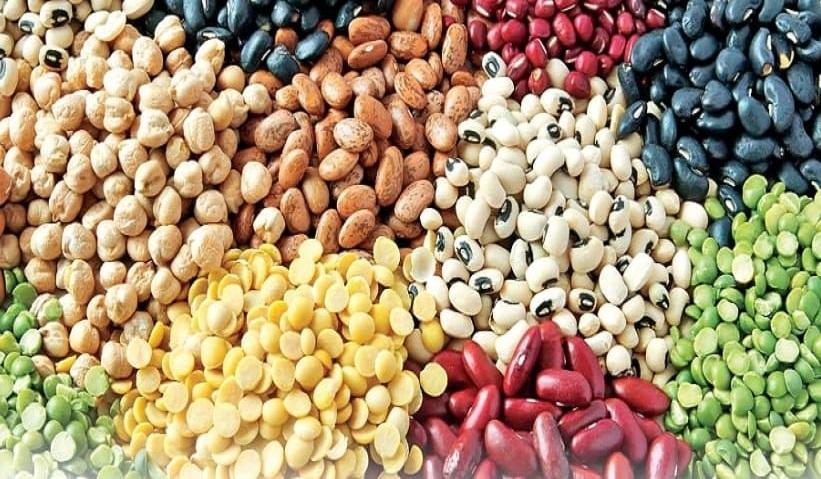 exclusion-of-pulses-from-daily-diet-limited-consumption-only-in-dieting-amid-increasing-trend-of-fast-food