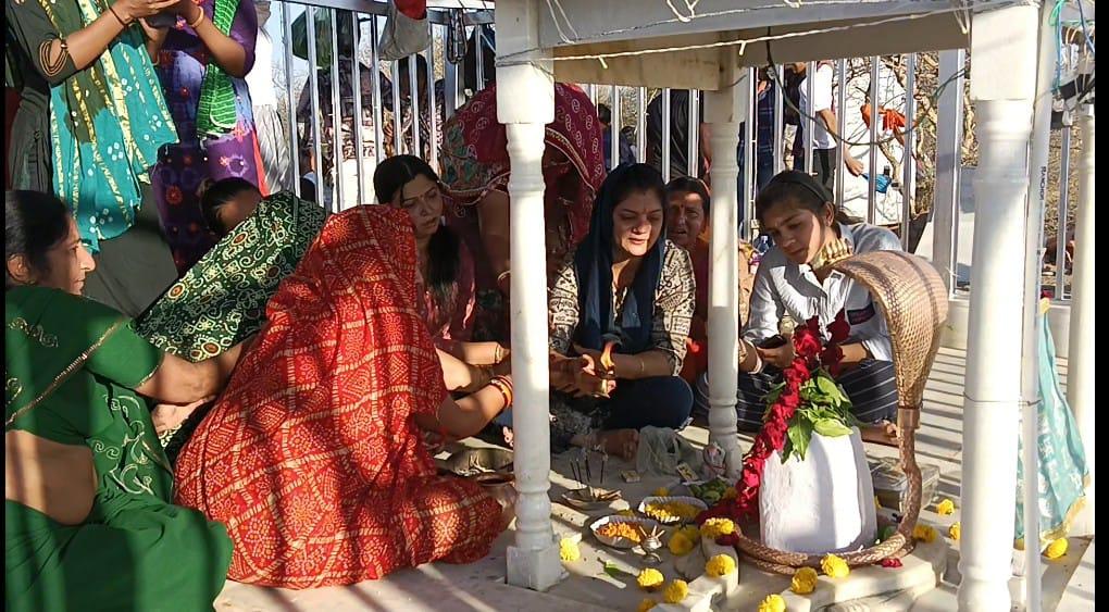 Sihore: In Chhoti Kashi, devotees flock to Ghodapur for darshan in many Shivalayas on the occasion of Mahashivratri.