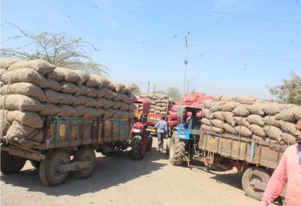 Chitra marketing yard, sacks of onions were rustled