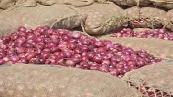 the-condition-of-onion-ripening-farmers-is-dire-the-government-should-make-arrangements-to-get-adequate-prices-shaktisingh
