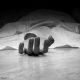 a-truck-driver-died-tragically-after-falling-from-the-truck-near-sihore