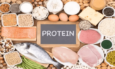 These symptoms are seen in the body due to protein deficiency, get rid of these things immediately