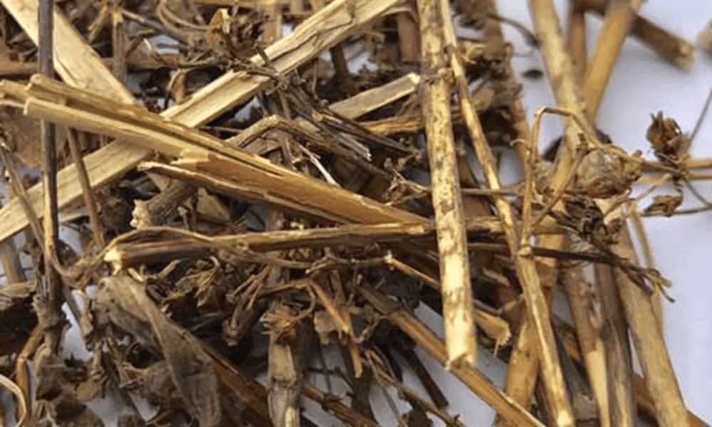 It cures many problems including diabetes, know its innumerable benefits