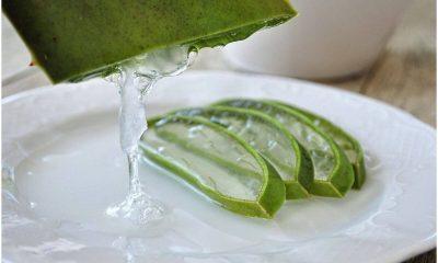 Weight loss: If you want to lose weight, include aloe vera in your diet