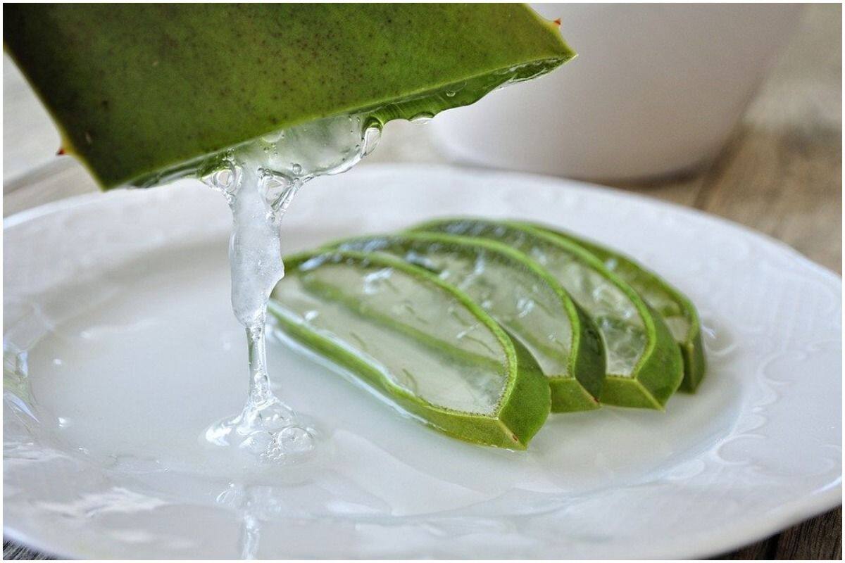 Weight loss: If you want to lose weight, include aloe vera in your diet