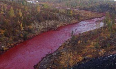 Seeing a red river in the middle of a gold mine, people thought it was a river of blood, but the truth is something different!