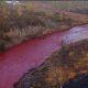 Seeing a red river in the middle of a gold mine, people thought it was a river of blood, but the truth is something different!