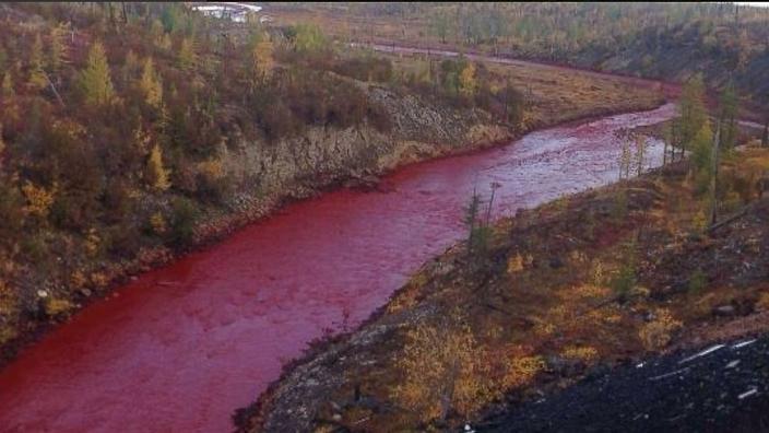 Seeing a red river in the middle of a gold mine, people thought it was a river of blood, but the truth is something different!