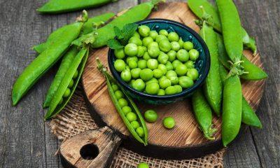 Green Pea: Green peas should not be consumed in these 5 diseases, the effect is like poison in the body!