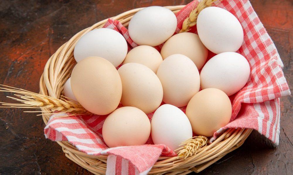  egg-from-rescued-chicken-could-sell-for-almost-50-thousand