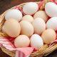  egg-from-rescued-chicken-could-sell-for-almost-50-thousand