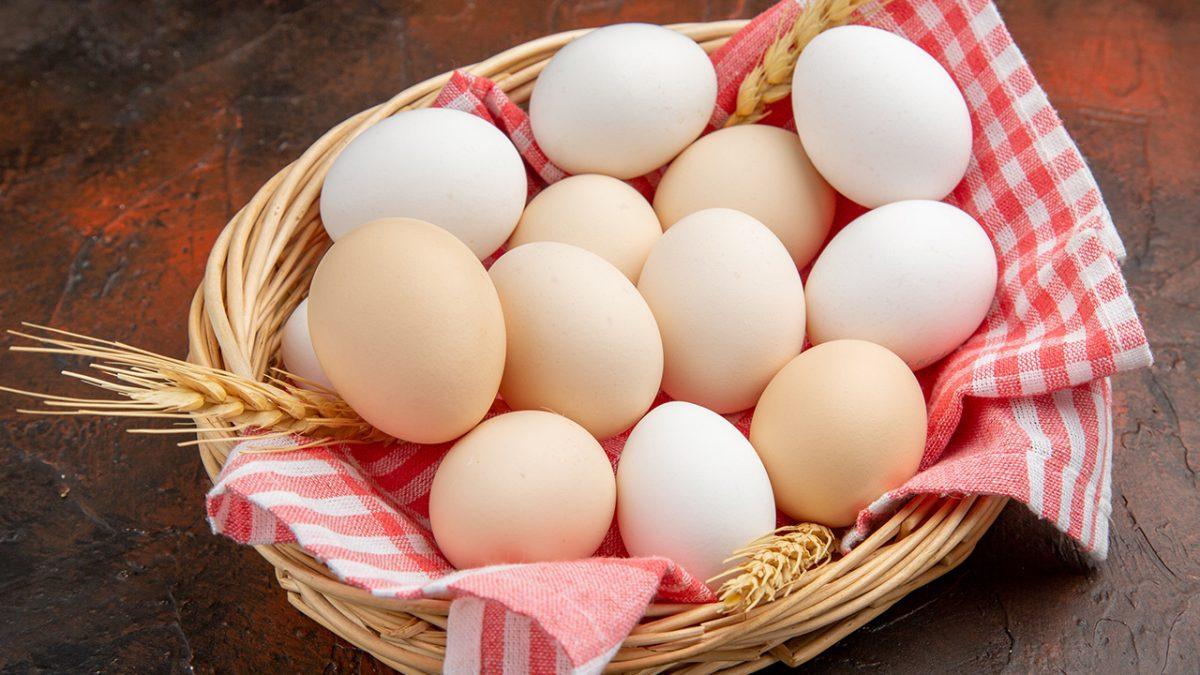  egg-from-rescued-chicken-could-sell-for-almost-50-thousand