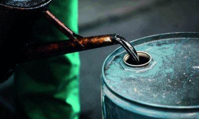 The government gave big information about crude oil rates, during which the price increased by 23 percent