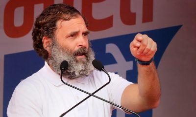 Modi got scared of me so MP was stripped: Rahul hits back