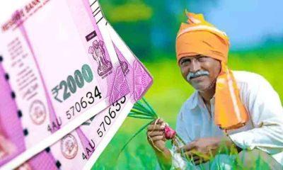 the-day-after-pm-kisans-money-came-the-agriculture-minister-gave-good-news-you-will-jump-for-joy