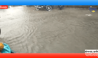 Heavy rain in Palitana