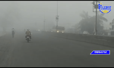 Dense fog spread in the district including Bhavnagar, like a hill station.