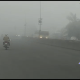 Dense fog spread in the district including Bhavnagar, like a hill station.