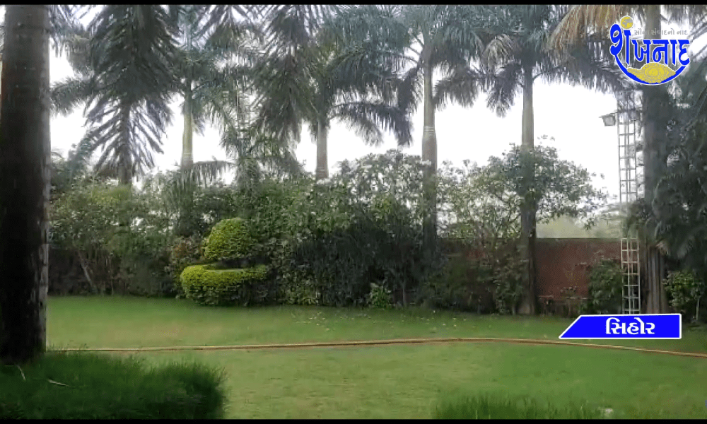 It rained with hail in Sakhwadar-Madha areas including Sihore...