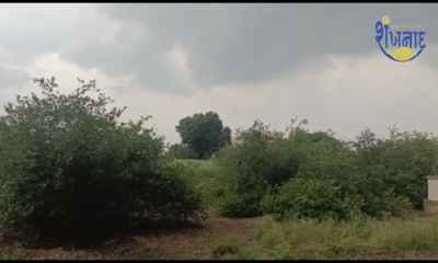 Heavy rain in Shihore taluka village Rivers and roads flooded again