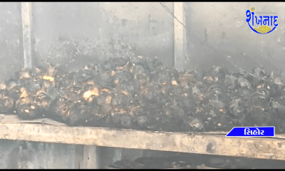 A fire broke out in a shop called Famous Omelet on Rajkot Road in Sihore.