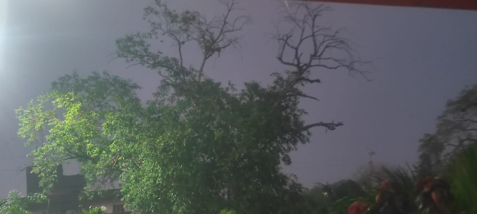 Sihor; Weather review again: Heavy clouds in Saurashtra-Kachchh including Bhavnagar district