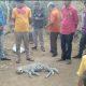 Dead body of leopard found in Sihore's Dipadia Dungar - Chakchar Machi