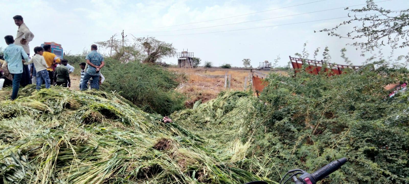 Major accident near Mevasa village of Vallabhipur, six persons died when a truck full of kadab overturned, panthak arrati
