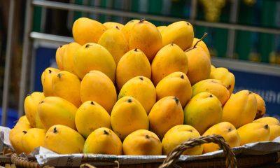 Mango : World's best mangoes are found in these cities, know which city's mangoes are the best