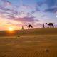 If you are planning to go to Jaisalmer, then include these 6 things in your trip