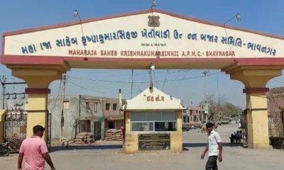 Bhavnagar; The yard will be 8 days off for Holi festival; Request to be cautious of farmers following the forecast of Mawatha.