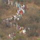 The Palitana pilgrimage area was buzzing with the celebration of Dada Adinath God; People from the Jain community from all over the country joined