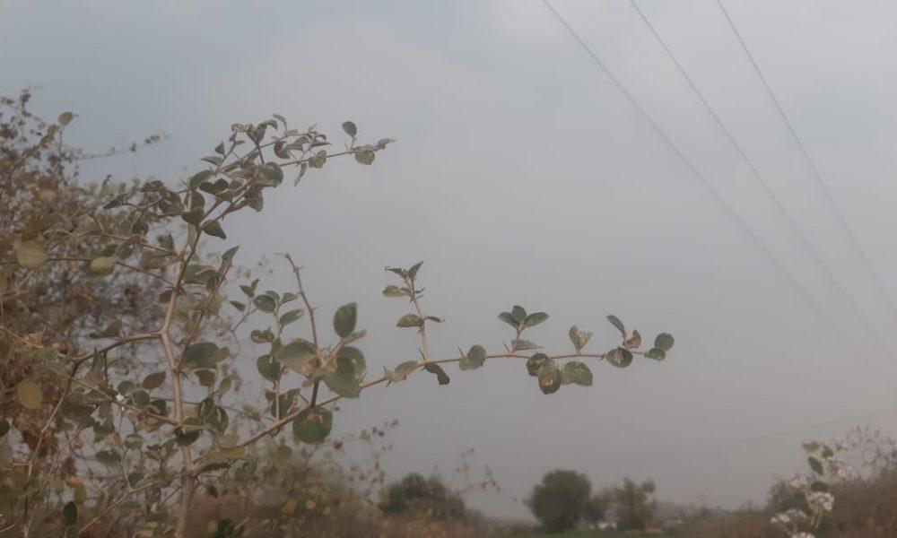 Scattered in Sihore Panthak: Clouds spread across the district
