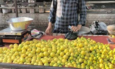 Sihor; The prices of lemons will turn your teeth sour!