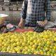 Sihor; The prices of lemons will turn your teeth sour!