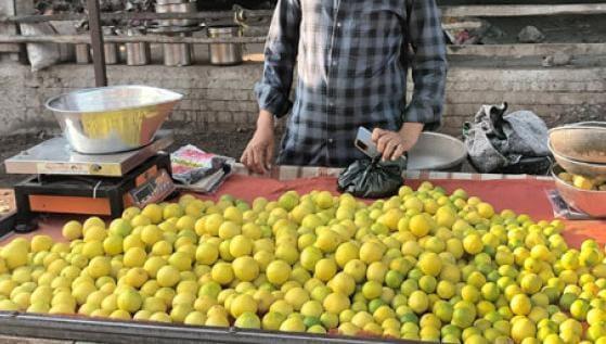 Sihor; The prices of lemons will turn your teeth sour!