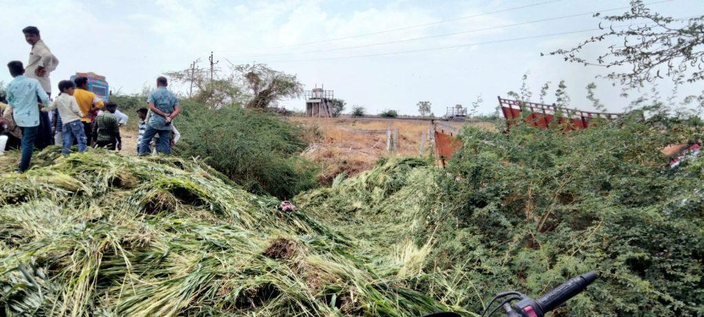 Vallabhipur highway echoed with death screams; Truck overturned, 6 workers died