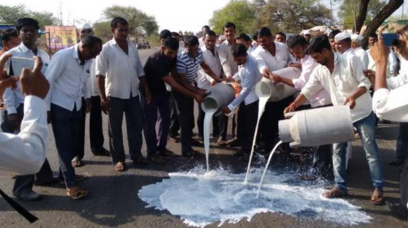 Tamil Nadu : Dairy farmers angered by non-increase in milk prices, protested by throwing on roads