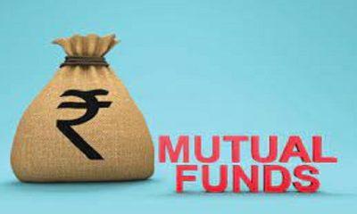 A big announcement by mutual fund companies, this opportunity offered till March 31, will benefit investors