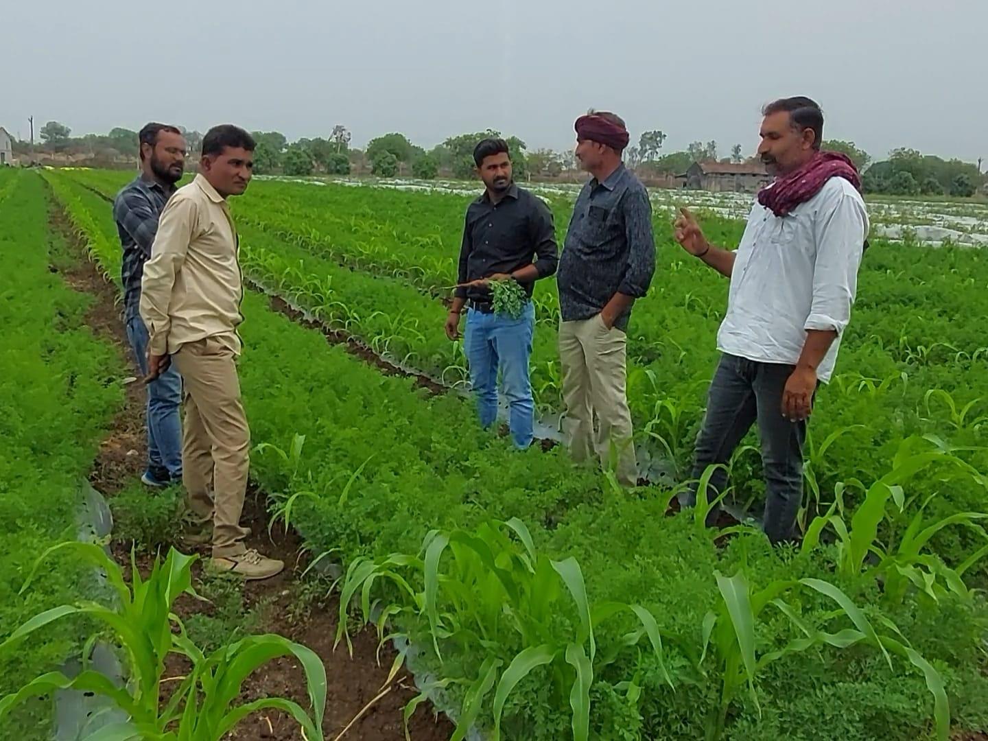 Progressive farmer of Dihore village - record breaking production of watermelon in summer using Ajmastra