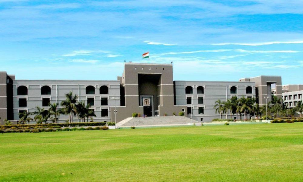 Is a chicken a bird or an animal? Questions raised during hearing on PIL in Gujarat High Court; Know the whole matter