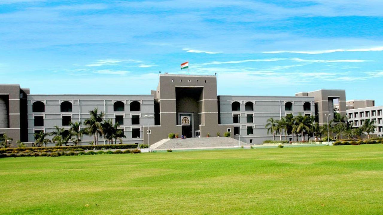 Is a chicken a bird or an animal? Questions raised during hearing on PIL in Gujarat High Court; Know the whole matter