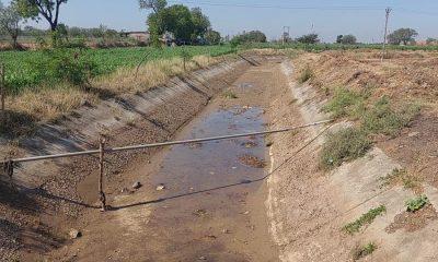 Farmers of Bhavnagar and Ghogha panthak are looking for potable water. Waiting: Demand to provide sufficient water through canal for rabi crop.