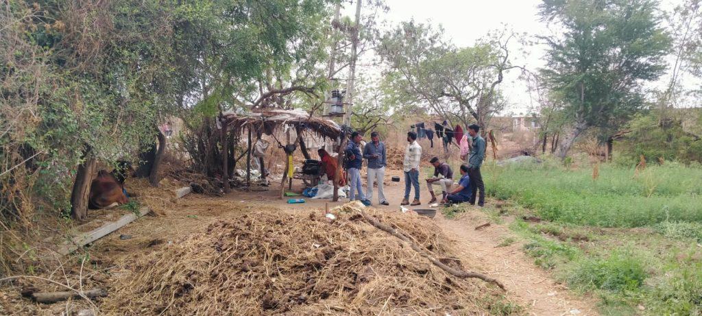 The peasants got up; A leopard mauled a calf in a paddy field near Bhadli and Jaliya in Sihore.