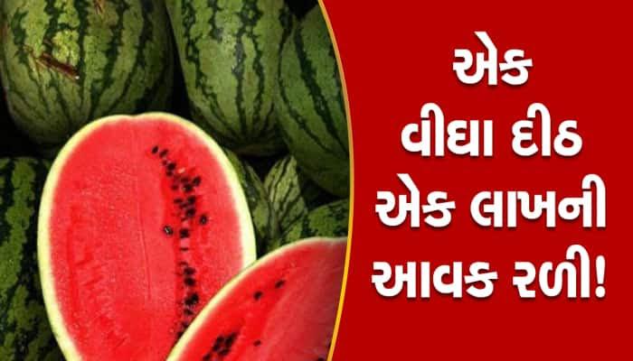 Progressive farmer of Dihore village - record breaking production of watermelon in summer using Ajmastra