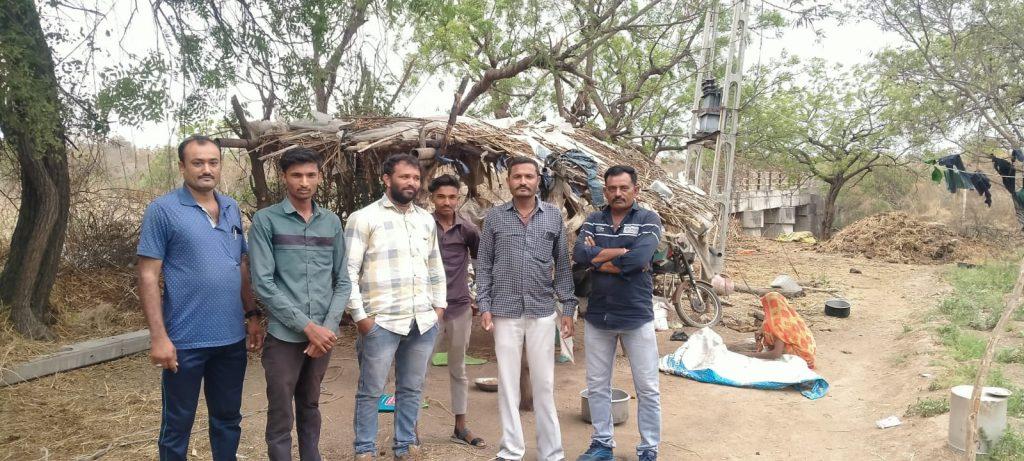 The peasants got up; A leopard mauled a calf in a paddy field near Bhadli and Jaliya in Sihore.