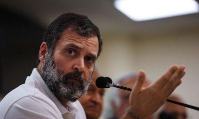 Ego… crime habit, Purnesh Modi's reply to Rahul Gandhi's plea, hearing today on sentence