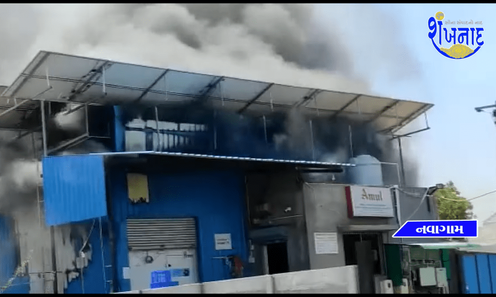 The Amul Ice Cream Godown on Sihore Bhavnagar Road was suddenly blasted and a severe fire broke out.