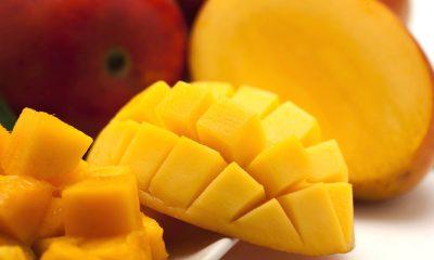 Mango Peels: Everyone loves to eat mangoes, but you may be surprised to know the benefits of its peel