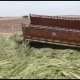 Big accident near Mevasa village of Vallabhipur, six persons died when a truck full of kadab overturned.